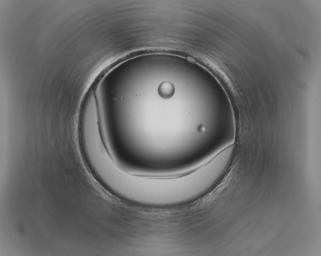 X0000115261085200911131741