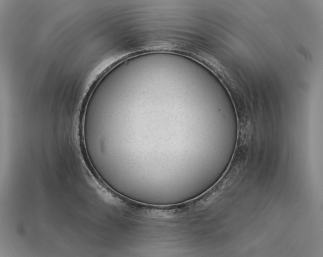 X0000115261086200911131741