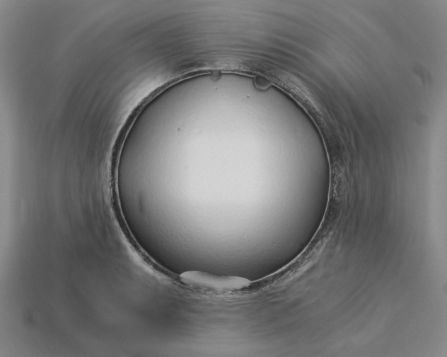 X0000115261087200911131741