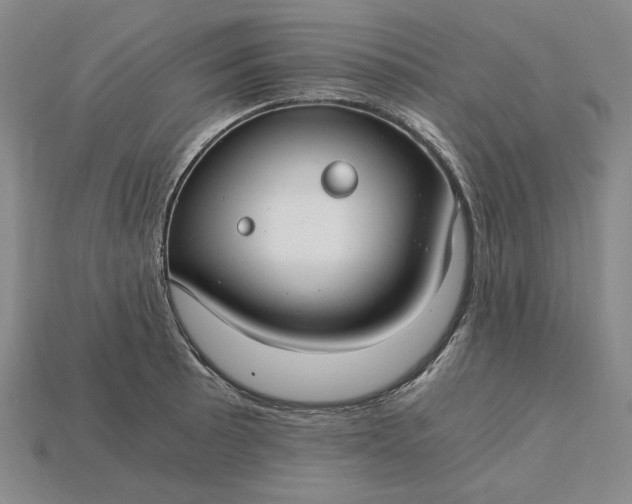 X0000115261089200911131741