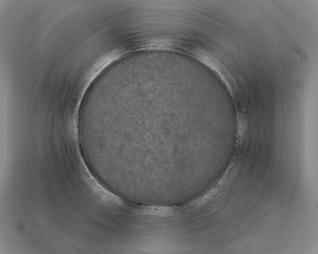 X0000115261090200911131741