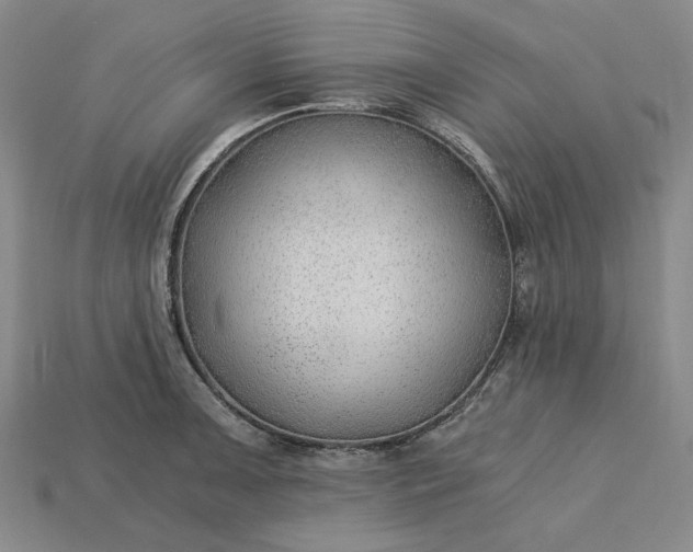 X0000115261091200911131741