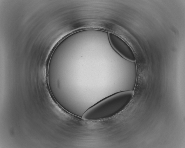 X0000115261092200911131741