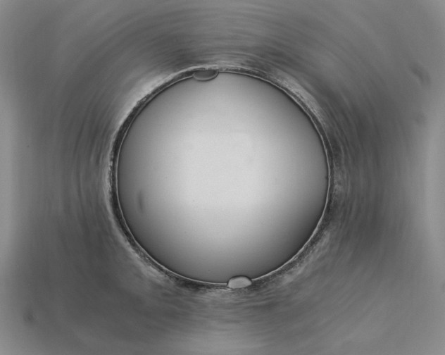 X0000115261093200911131741
