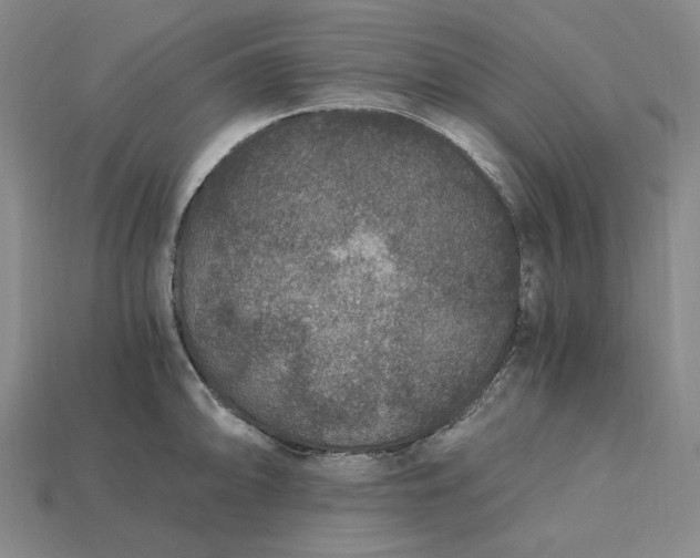 X0000115261094200911131741
