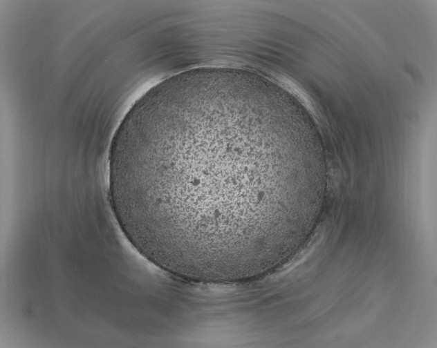 X0000115261095200911131741