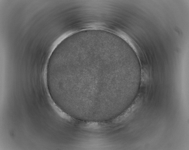 X0000115261098200911131741