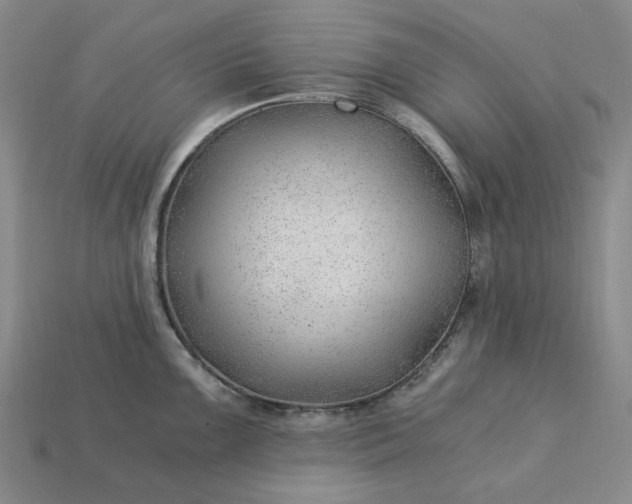X0000115261099200911131741