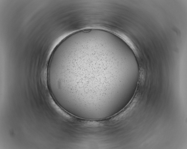 X0000115261100200911131741