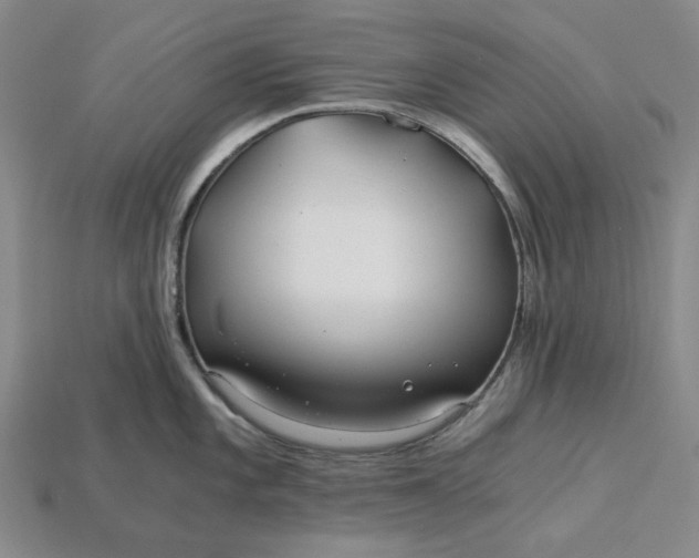 X0000115261101200911131741