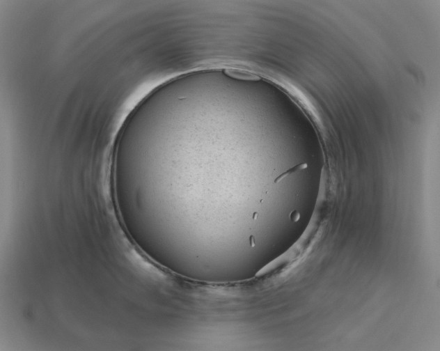 X0000115261102200911131741