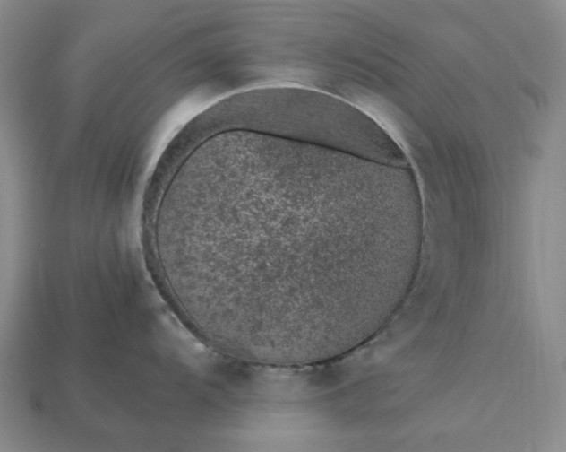 X0000115261104200911131741