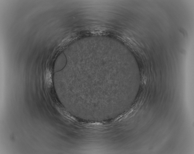 X0000115261106200911131740