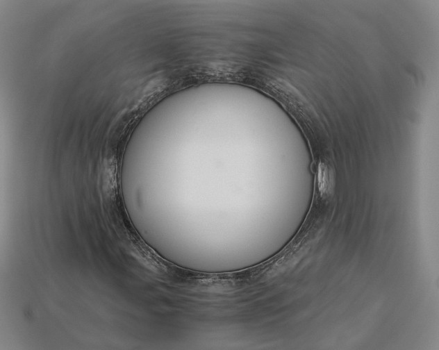 X0000115261107200911131740
