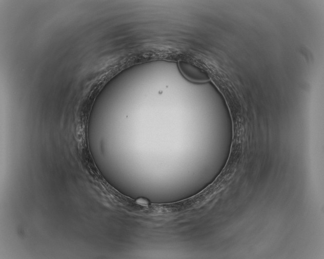 X0000115261109200911131740