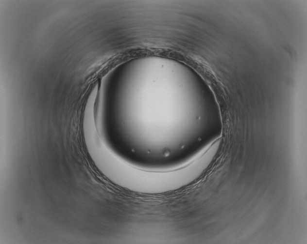 X0000115261110200911131740