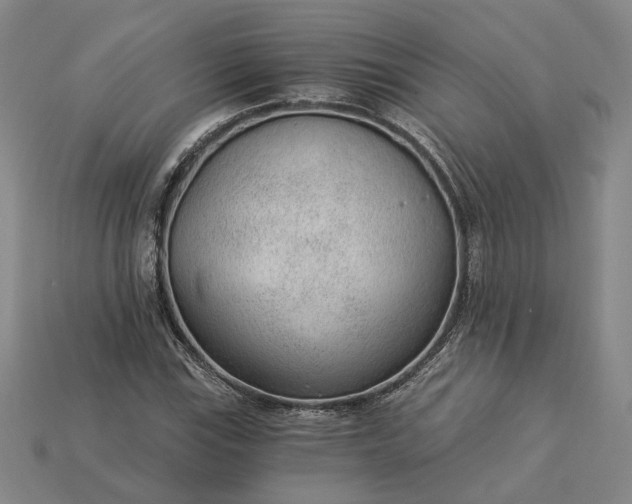X0000115261115200911131740