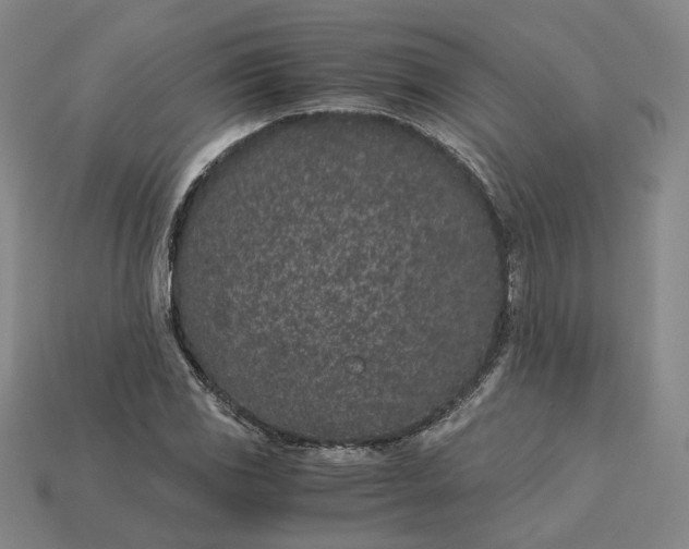 X0000115261117200911131740