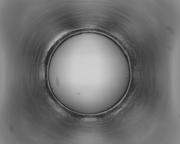 X0000115261118200911131740