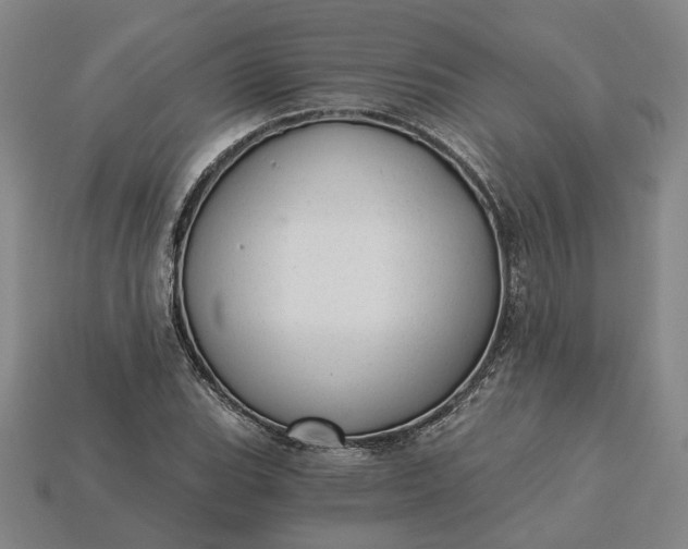 X0000115261119200911131740