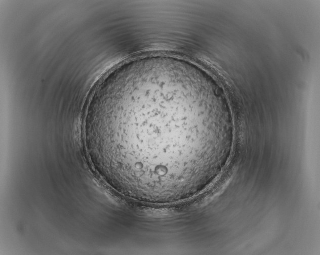 X0000115261121200911131740