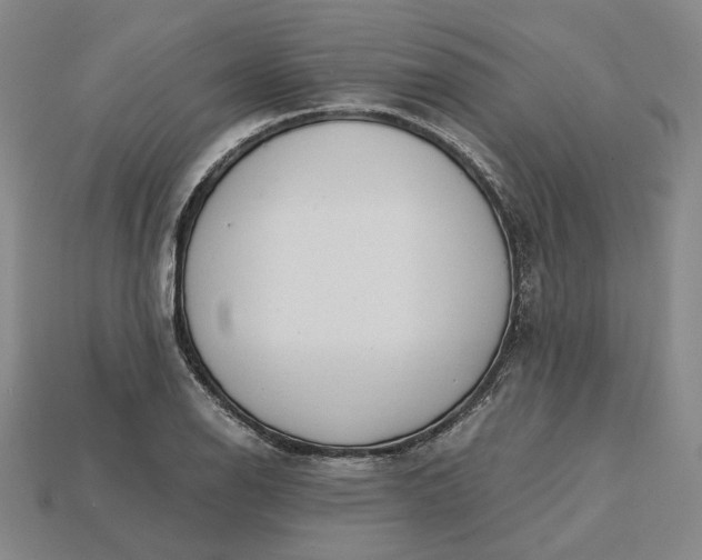 X0000115261126200911131740