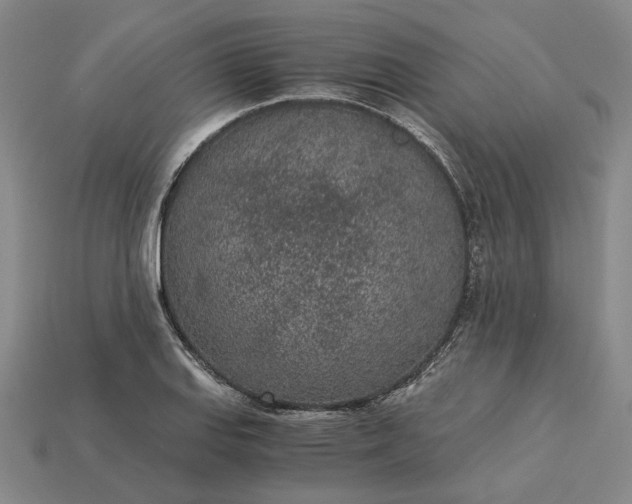X0000115261127200911131740