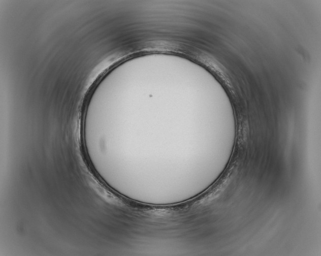 X0000115261130200911131740