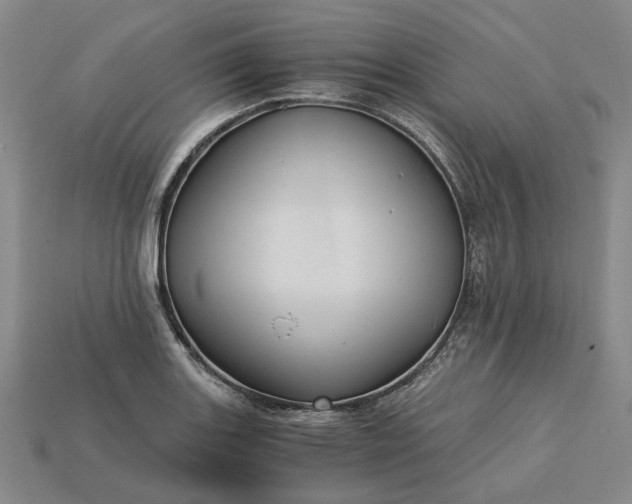 X0000115261131200911131740