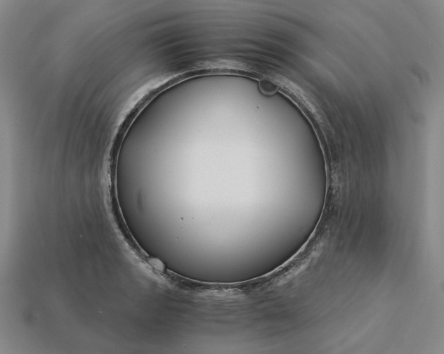 X0000115261133200911131740