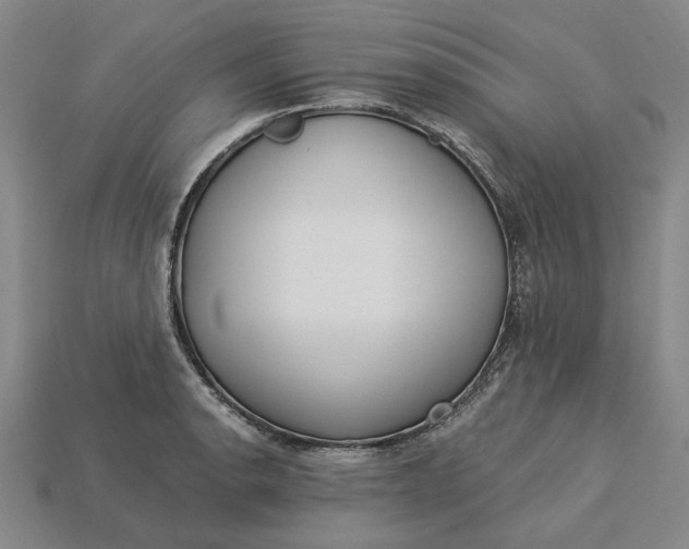 X0000115261134200911131740