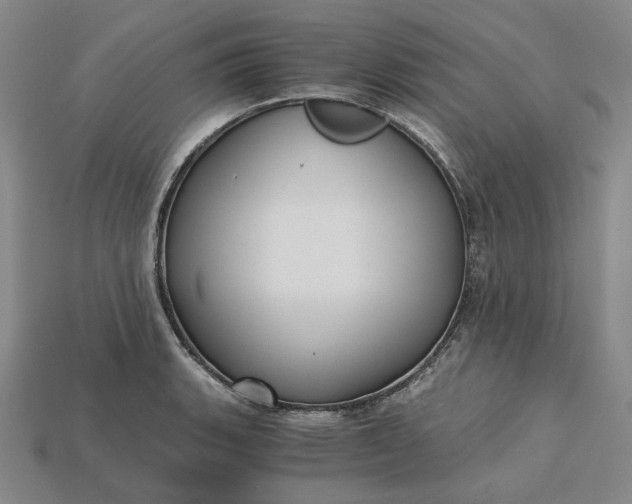 X0000115261135200911131740