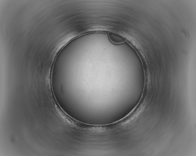 X0000115261137200911131741