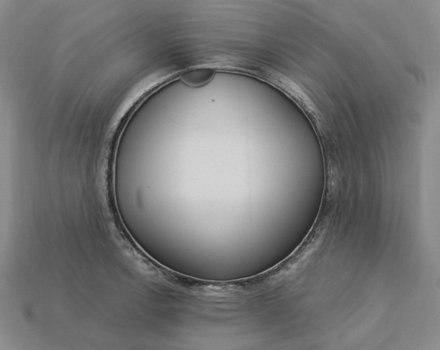 X0000115261138200911131741