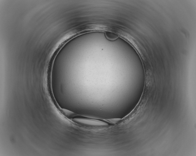X0000115261139200911131741