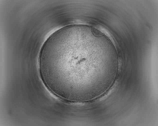 X0000115261141200911131741