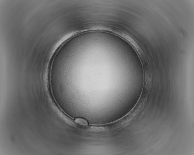 X0000115261142200911131741