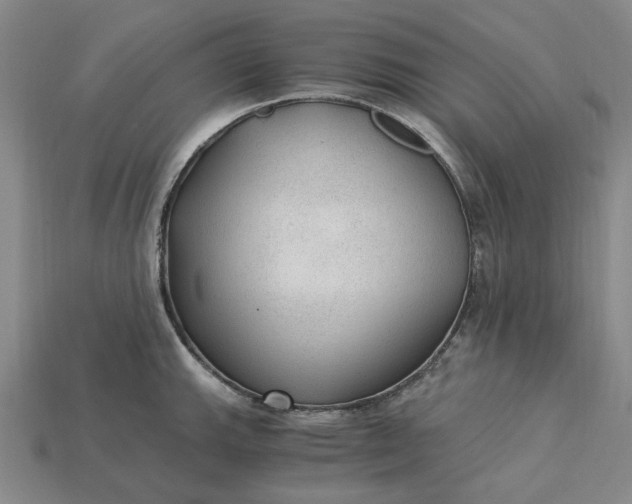 X0000115261143200911131741