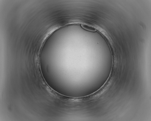 X0000115261145200911131741