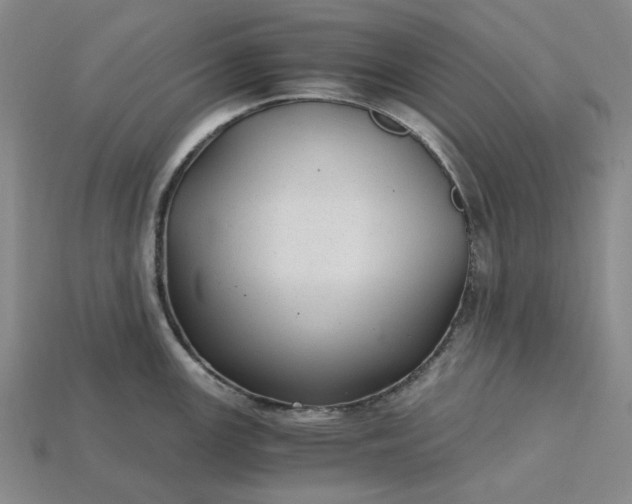 X0000115261147200911131741