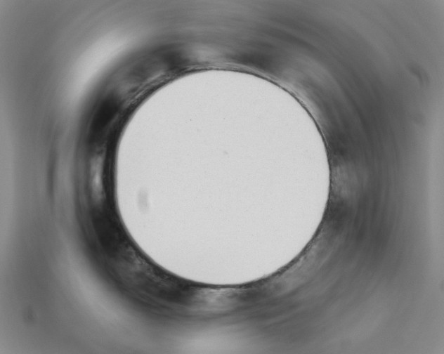 X0000115261150200911131741