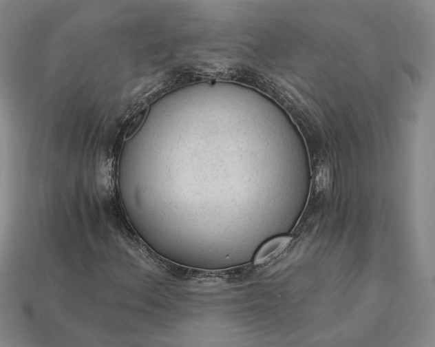 X0000115261156200911131740
