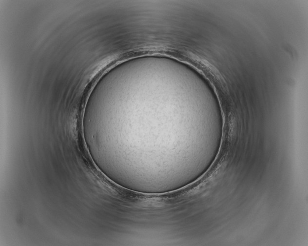 X0000115261162200911131740