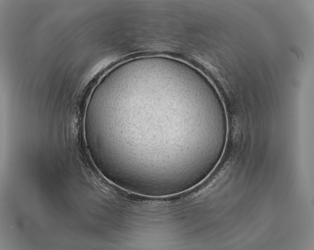 X0000115261163200911131740