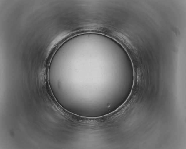X0000115261164200911131740