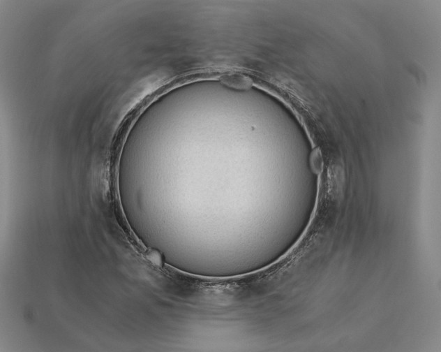 X0000115261165200911131740