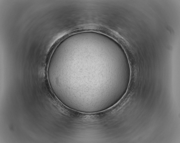 X0000115261166200911131740