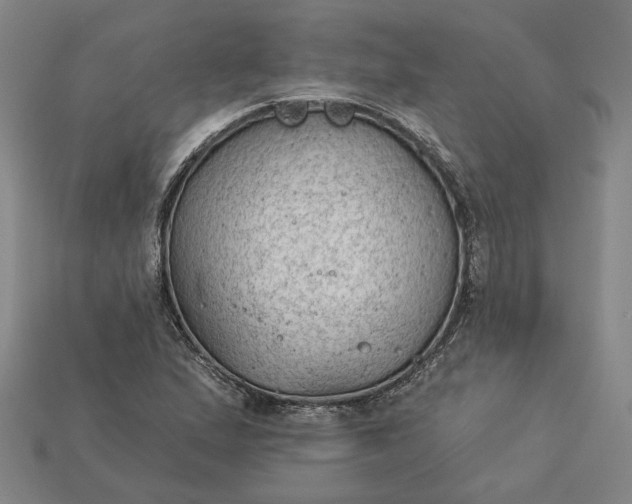 X0000115261167200911131740