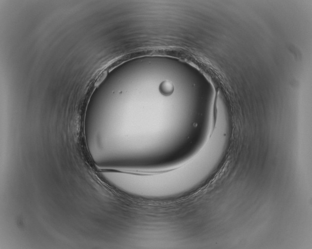 X0000115261169200911131740