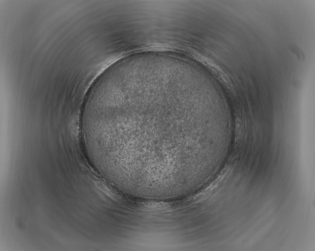 X0000115261170200911131740